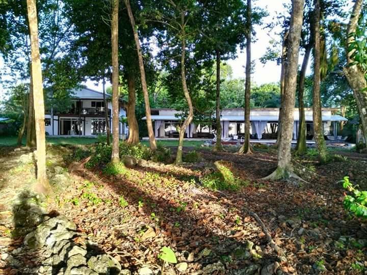 Cahuita Inn Zewnętrze zdjęcie
