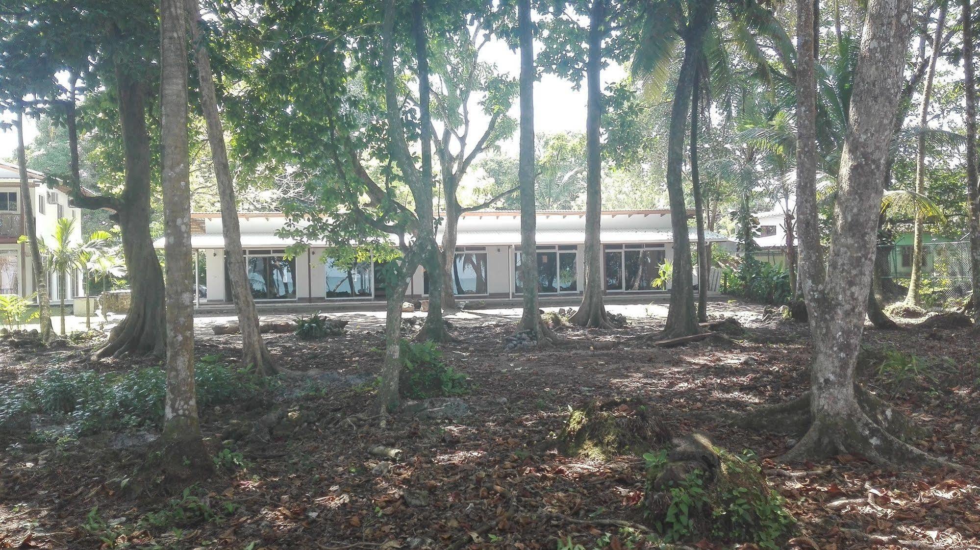 Cahuita Inn Zewnętrze zdjęcie